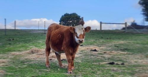 Agroturismo Lockleigh Park