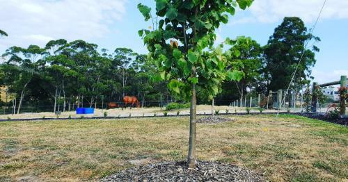 Agroturismo Lockleigh Park