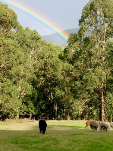 Agroturismo Pennyroyal Otways Retreat