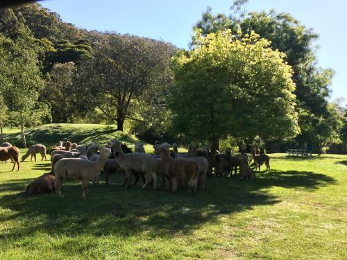 Agroturismo Pennyroyal Otways Retreat