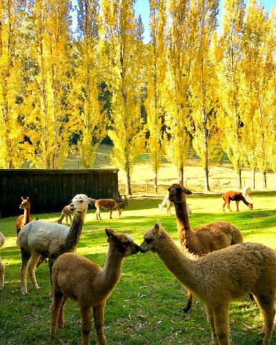 Agroturismo Pennyroyal Otways Retreat