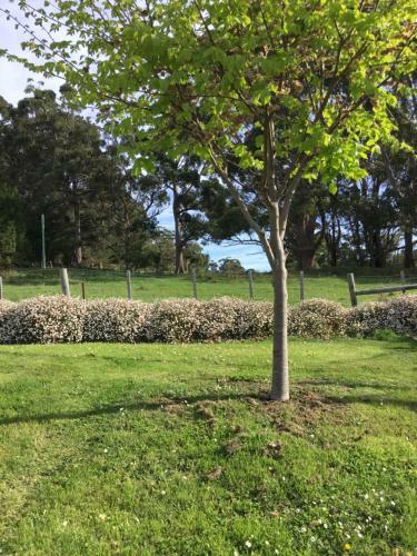 Bed & Breakfast Nextdoor@portarthur