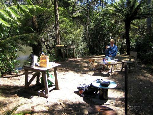Arthur Riverfront And Sea Lodge Downstream