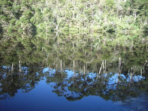 Arthur River Holiday Units