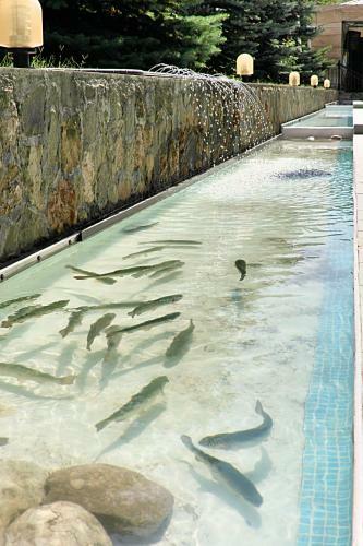 Hotel Ladera Resort Qusar