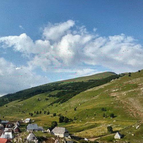 Hostal Guesthouse Letnja Basta