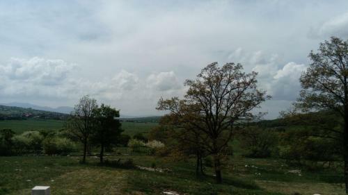 Dobri Markan