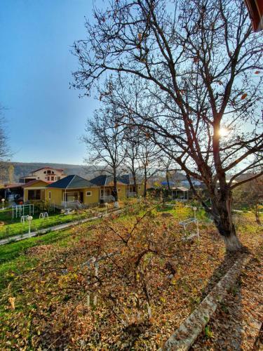 Hotel Zangazur Lodge & Restaurant