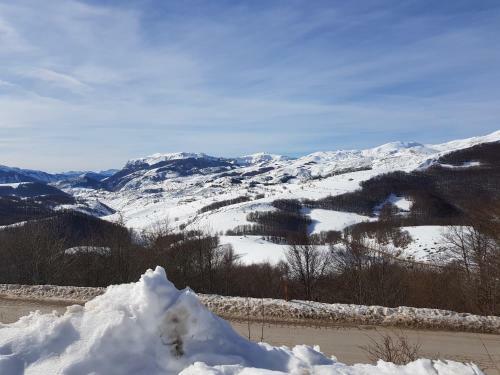 Apartman Dalia