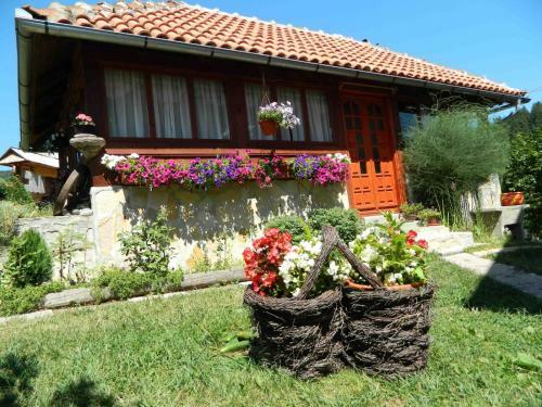 Lodge Guesthouse Sadrvan Ravne