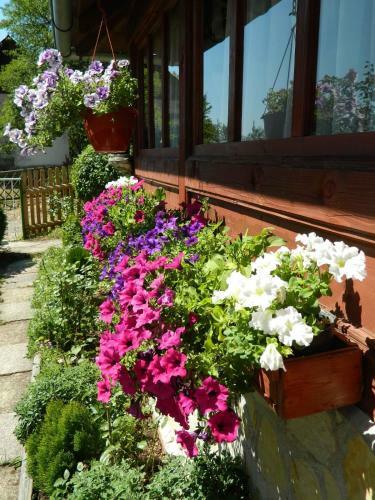 Lodge Guesthouse Sadrvan Ravne