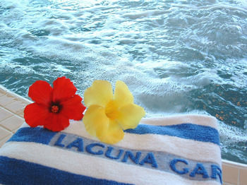 Hotel Laguna Garden