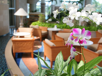 Hotel Laguna Garden