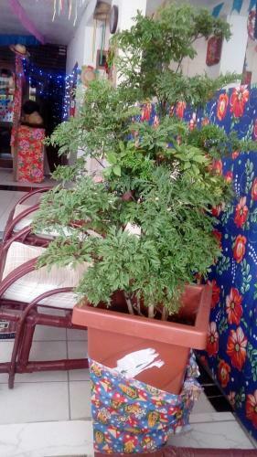 Hotel Acau�