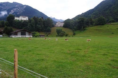 Lodge Chalet Interlaken