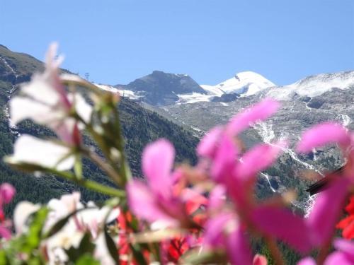 Apartment Alpenfirn