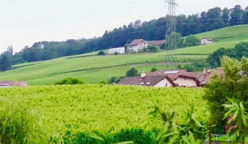 Bed & Breakfast Cave Du Treyblanc