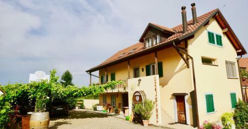 Bed & Breakfast Cave Du Treyblanc
