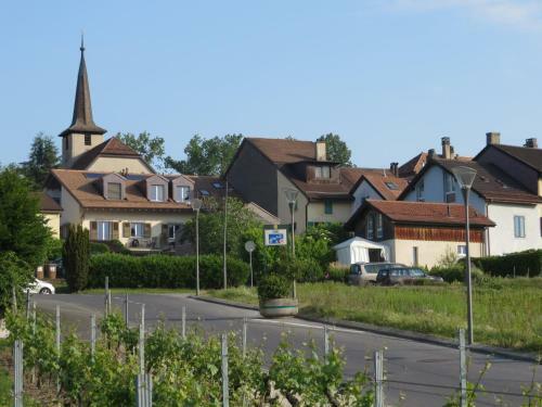 Apartamentos Les Rues Basses