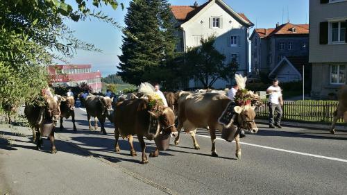 Bauernhaus Hinterb�hle
