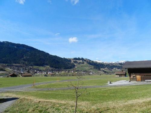 Apartment Studio Rinderbergblick