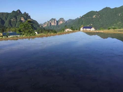 Hostal Zhang Jiajie Tujia Ethnic Guesthouse