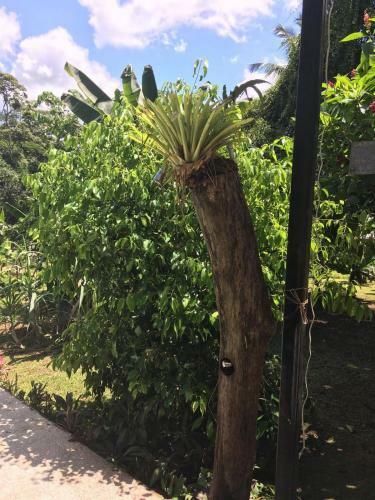 Agroturismo Casa Los Limones
