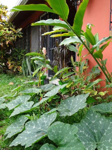 Hostal De La Tierra Ecohouse Farm