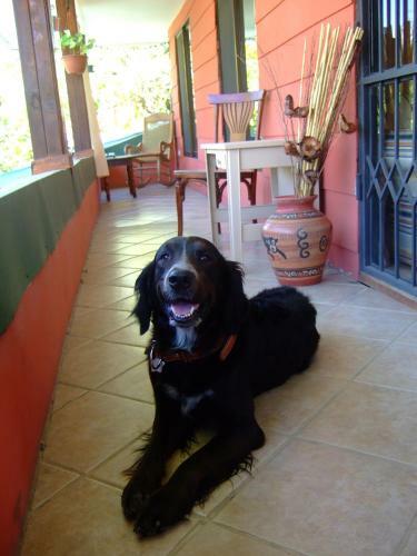 Hostal De La Tierra Ecohouse Farm