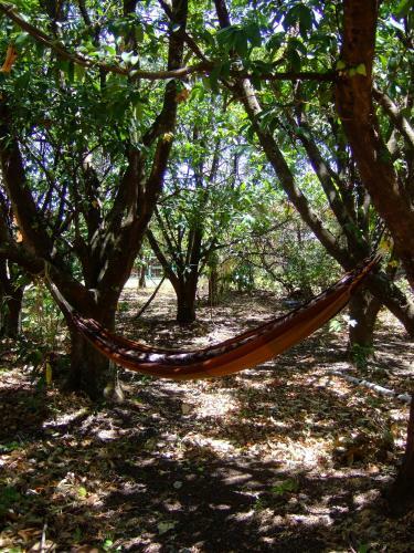 Hostal De La Tierra Ecohouse Farm