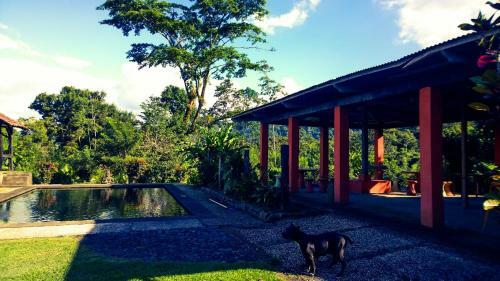 Lodge Los Gallitos Hotel
