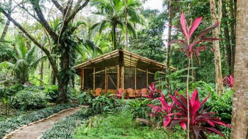 Casita Tranquila Osa Peninsula