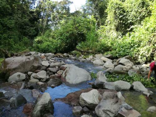 Hotel Guayabo Lodge