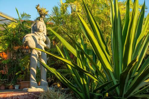 Bed & Breakfast La Boruca