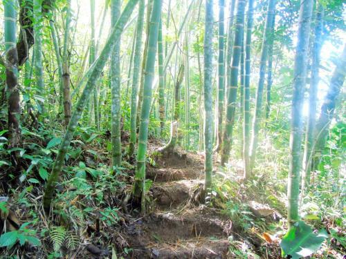 Albergue Monta�a Verde