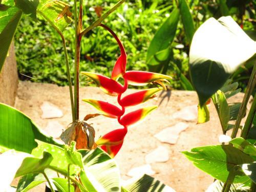 Albergue Monta�a Verde