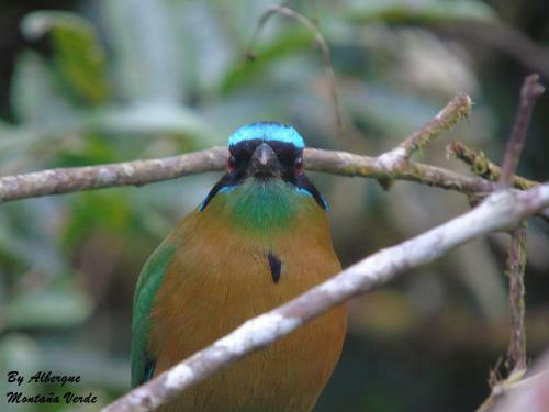 Albergue Monta�a Verde