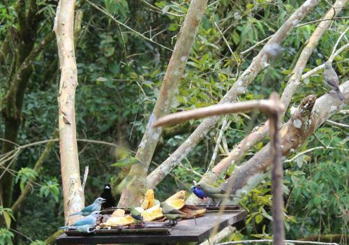 Albergue Monta�a Verde