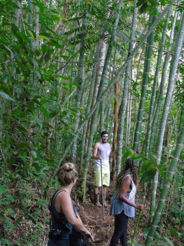 Albergue Monta�a Verde