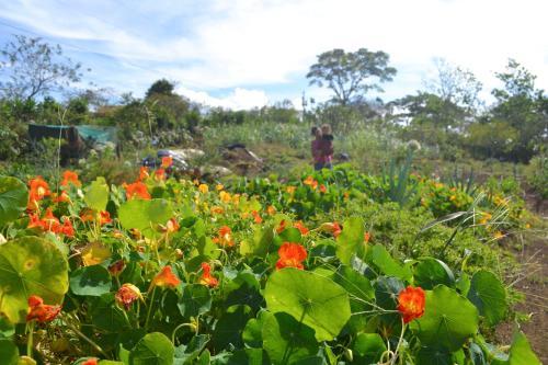 Lodge Eco Granja Don Lolo