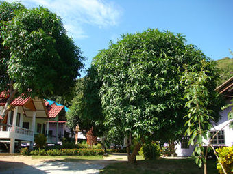 Hotel Beer Bungalow