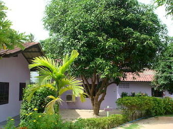 Hotel Beer Bungalow