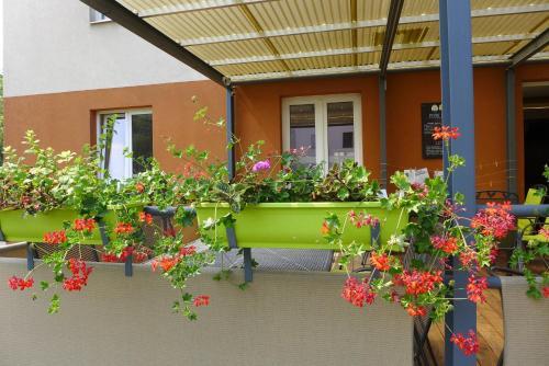 Hotel Elmontex
