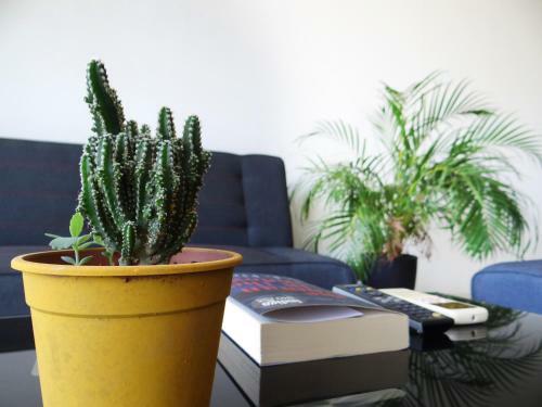 Apartamento Tico Lindo Flats