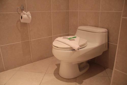 Hotel Luisiana
