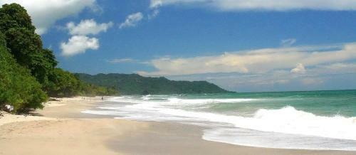 Honu Beach Apartments