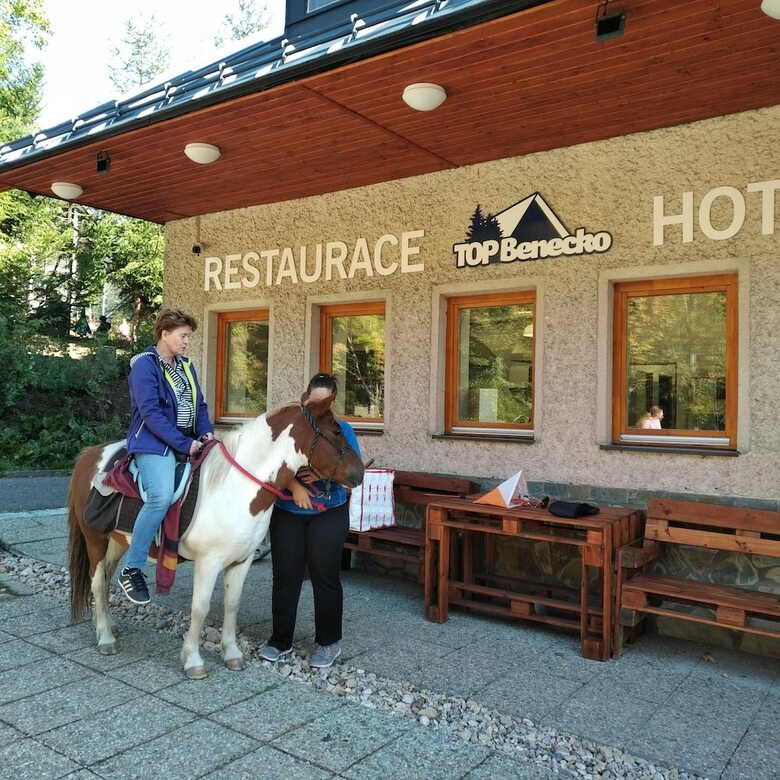 Hotel Profamily Top Benecko