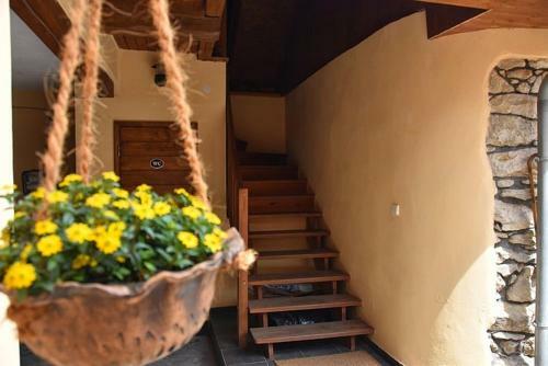 Hostal Ubytov�n� U ?�?ky