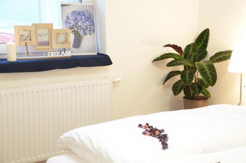 Hostal Resort Rybn�?ek