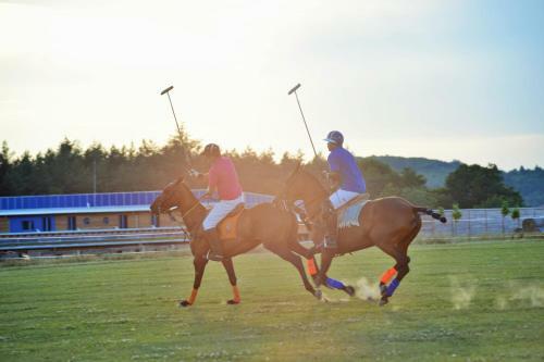 Agroturismo Farma Noe